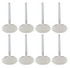 Ferrea SBC 2.200 C/P Intake Valves 11/32 5.560 OAL FERF2028P-8