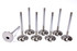 Ferrea SBC C/P 1.940 Intake Valves FERF2038P-8
