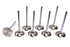 Ferrea Acura C/6 33mm Intake Valves FERF6048-8 Ferrea Acura C/6 33mm Intake Valves FERF6048-8