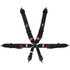 G-force 6pt Harness Camlock Indiv P/U Black  FIA GFR7621BK