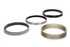 Hastings Piston Ring Set 4.310 1/16 1/16 3/16 HAS2M8562065