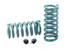 Hotchkis Performance 64-72 GM A-Body Front Coil Springs HOT1901F