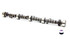 Isky Cams SBC Solid Camshaft ISK201CC2