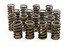 Isky Cams 1.260in Valve Springs ISK295-D Isky Cams 1.260in Valve Springs ISK295-D