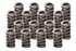 Lunati 1.514 Dual Valve Spring Set w/Damper LNT74650-16