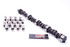 Lunati BBC Bootlegger Hyd. Cam & Lifter Kit LNTXXX11224HLK