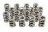 Pac Racing Springs 1.260 Single Valve Springs RPM Series (16) PACPAC-1201X