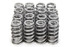 Pac Racing Springs Beehive RPM Series Valve Springs Ford 5.0L Coyote PACPAC-1217X