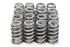 Pac Racing Springs 1.290 Valve Springs - Ovate Beehive (16) PACPAC-1218X