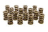 Pac Racing Springs 1.539 Dual Valve Springs - (16) PACPAC-1227