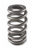 Pac Racing Springs 1.021 Valve Spring Beehive Ford Coyote 5.0L PACPAC-1234X-1