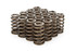 Pac Racing Springs 1.210 Beehive Valve Springs 1200 Series PACPAC-1235