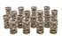 Pac Racing Springs 1.550 Dual Valve Springs (16) PACPAC-1245