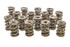 Pac Racing Springs 1.645 Triple Valve Springs (16) PACPAC-1247