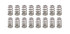 Pac Racing Springs 1.290 RPM Series Valve Springs Beehive 16Pk PACPAC-1276X