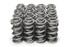 Pac Racing Springs 1.550 Dual Valve Springs (16) Pac-1370