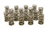 Pac Racing Springs 1.564 Dual Valve Springs (16) PACPAC-1386