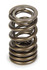 Pac Racing Springs Dual Valve Spring (1) Suzuki Hyabusa I 99-07 Pac-Mx222