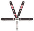 Simpson Safety 5pt Harness System CL P/U B/I Ind SIM29104BK