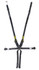 Schroth Racing 6pt Harness System SFI ProFi II Hans Black SRBSR91143NC