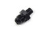 Triple X Race Components AN to NPT Straight #6 x 1/8 TXRHF-90061-BLK