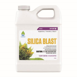 SILICA BLAST 1QT