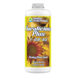 GH Floralicious Plus Quart (12/Cs)