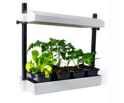 Micro Grow Light Garden White (1/ea)