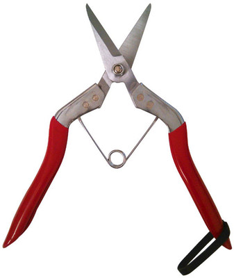 Deluxe Thinning Shear Straight Edge Blade