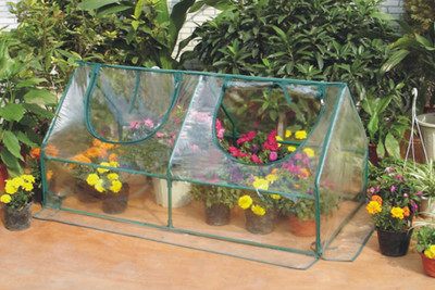 Garden Cold Frame Greenhouse Cloche
