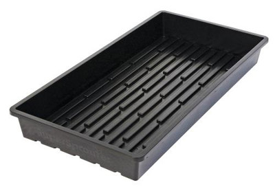 Super Sprouter Quad Thick 10 x 20 Tray - No Hole (25/Cs)