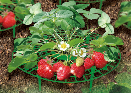 Garden Supports Fruit and Vegetable Gardening
