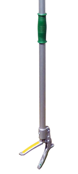 Long Reach Telescopic Fruit Picker, 10-Feet Extension