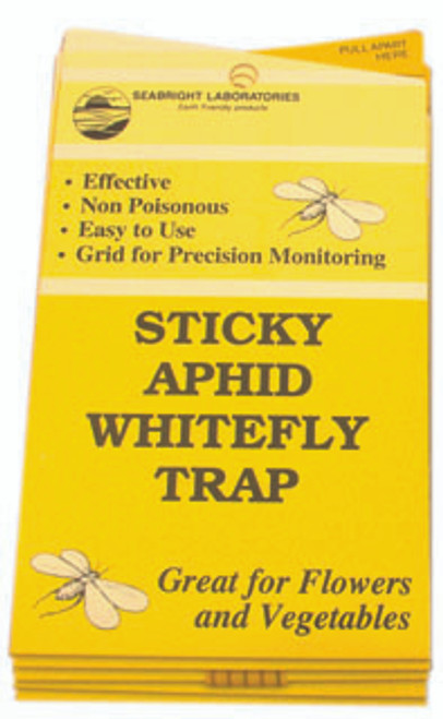 White Fly Traps, 5 pack