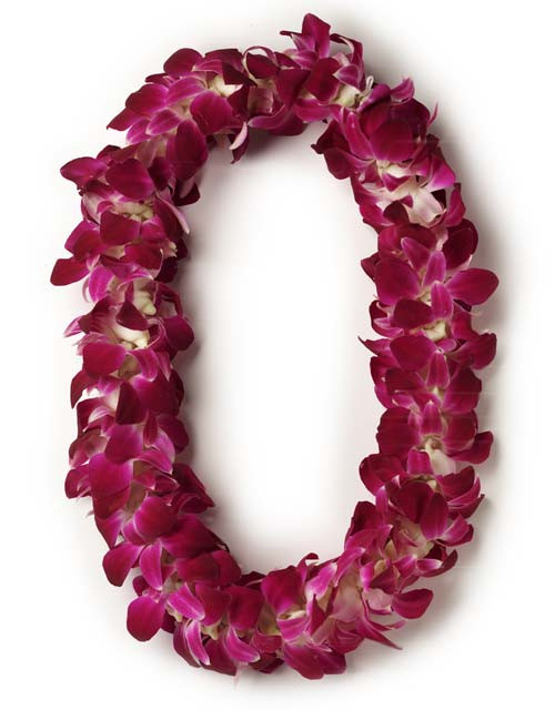 Two (2) Double Dendrobium Orchid Leis<BR>PRE-ORDER - Clarence