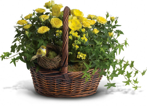 Yellow Trio Basket