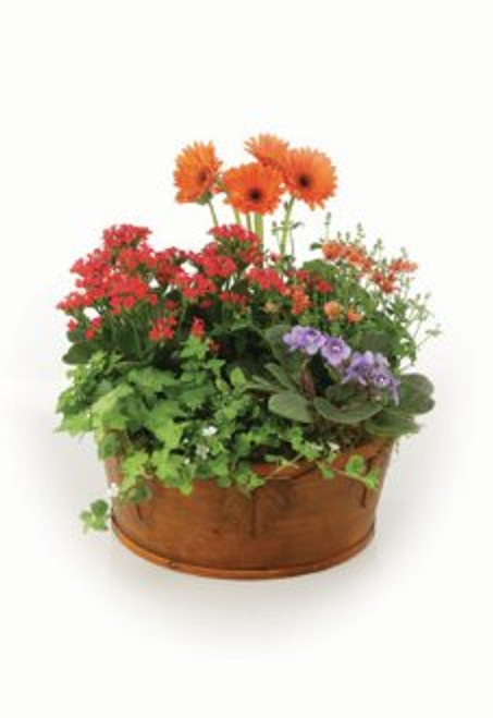 Europen Garden Basket With Gerbera