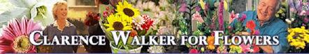 Clarence Walker for Flowers