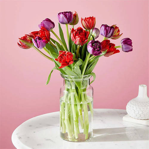 First Kiss Tulips Clarence Walker Florist