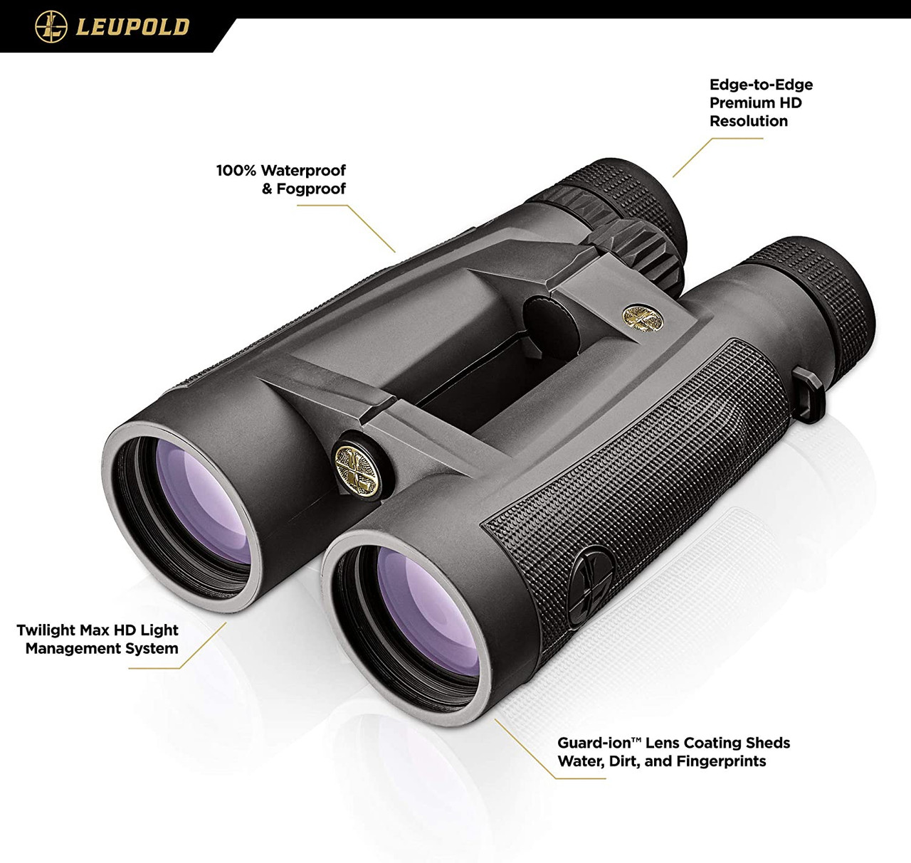 Leupold BX-5 Santiam HD 15x56MM Shadow Grey 2
