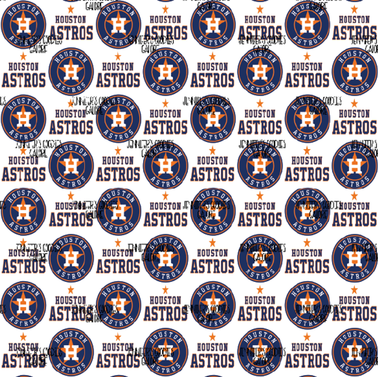 MLB Astros Cosmetic Case