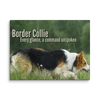 Unspoken Commands – Border Collie Wisdom Signature Series