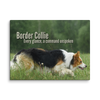 Unspoken Commands – Border Collie Wisdom Signature Series