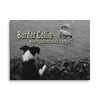 Instinct's Edge – Border Collie Wisdom Signature Series