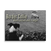 Instinct's Edge – Border Collie Wisdom Signature Series