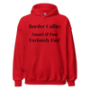 Furiously Fun – Border Collie Unisex Hoodie