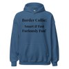 Furiously Fun – Border Collie Unisex Hoodie