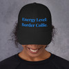 Energy Level: Border Collie – Embroidered Cap