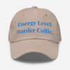 Energy Level: Border Collie – Embroidered Cap