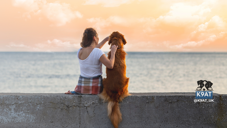 Designed for Dogs, Made for Their People